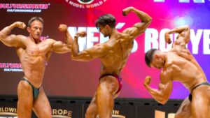 Calendarios de competición 2026